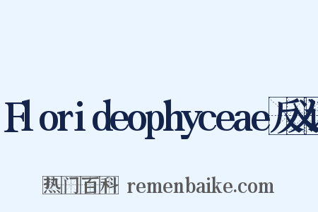 Florideophyceae反义词是什么意思的图片